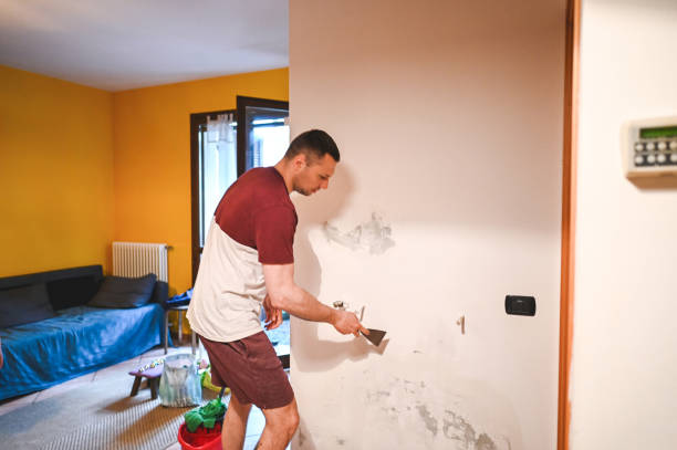 Best Mold Damage Repair  in Pelham, GA